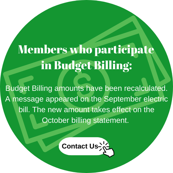 Budget Biling