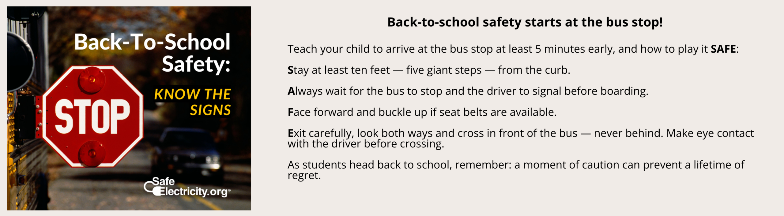 School Bus Safety
